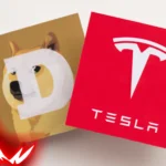 Tesla Q2 2025 Earnings Report